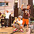 コヤブソニック2008の画像13サムネイル