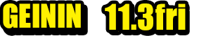GEININ 11.3fri
